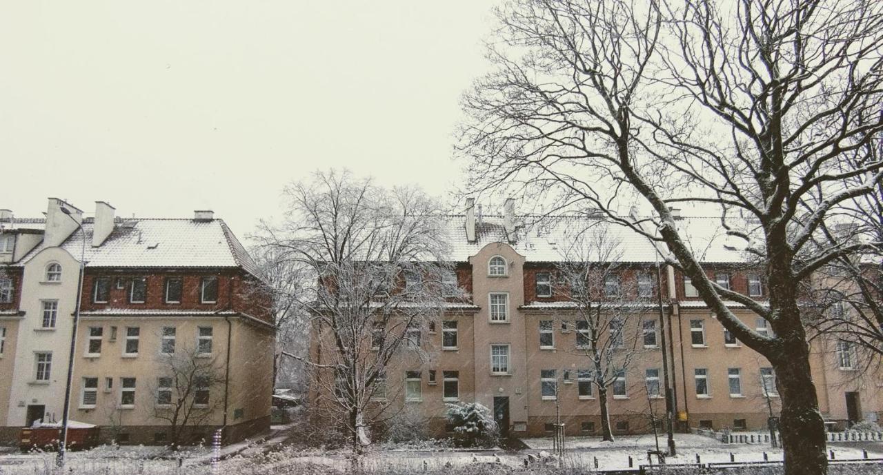 Zielona Kamienica Apartament *