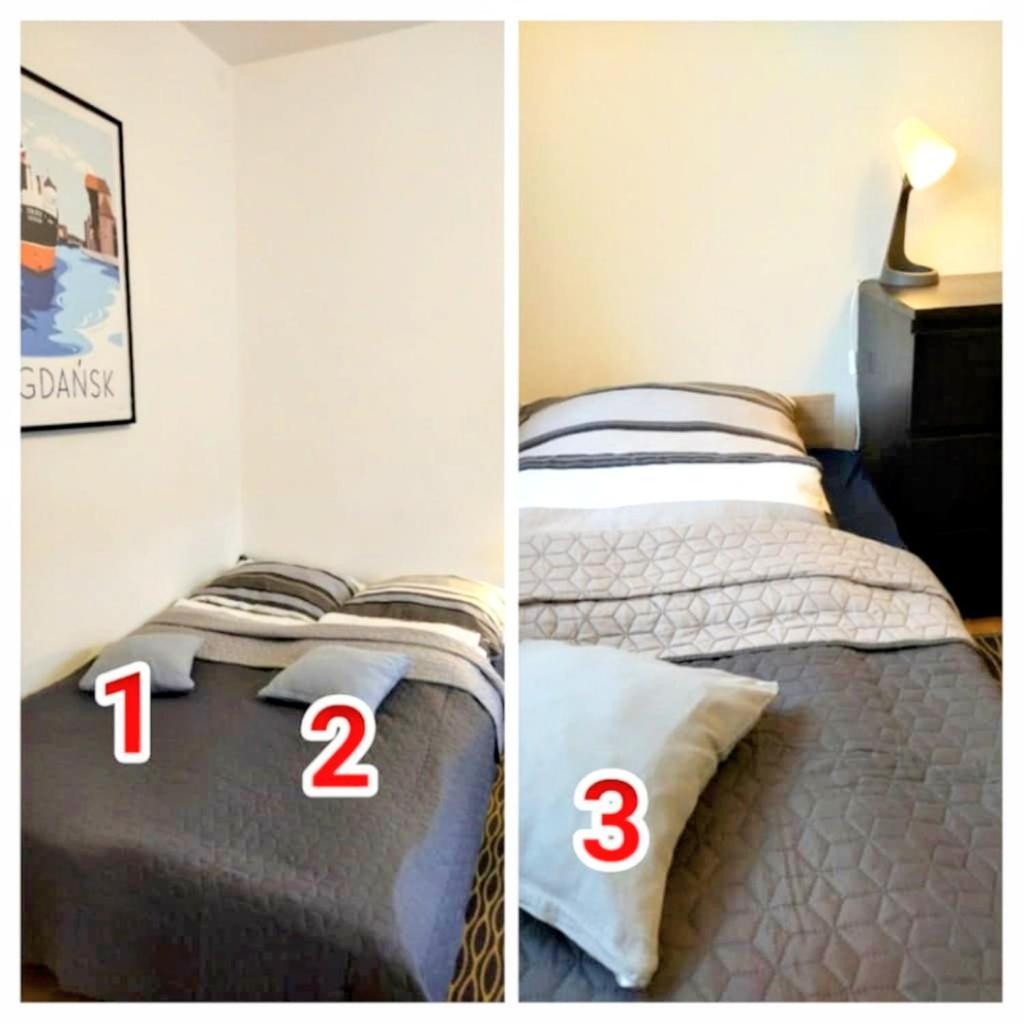 Zielona Kamienica Apartament
